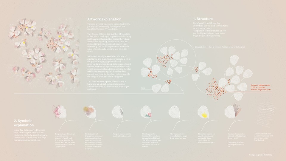 Fig.2 Giorgia Lupi, Kaki King, “Bruises – The Data We Don’t See” 