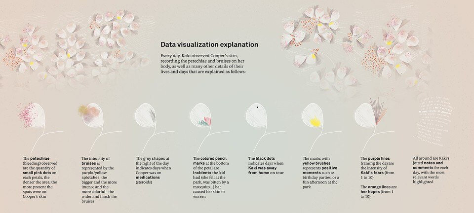 Fig.5 Giorgia Lupi, Kaki King, “Bruises – The Data We Don’t See” 