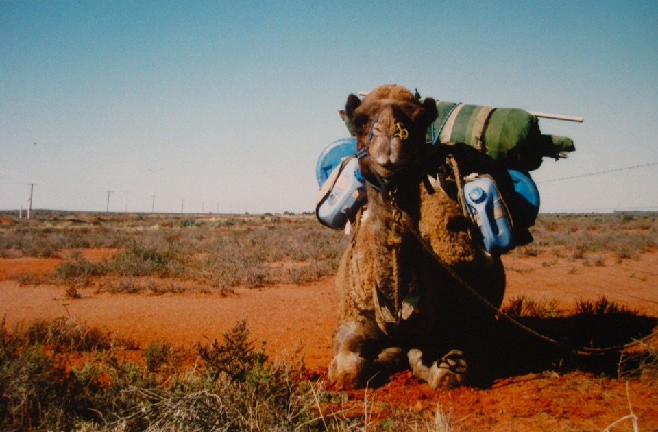 Elliat Rich, Camel Trip, 2001