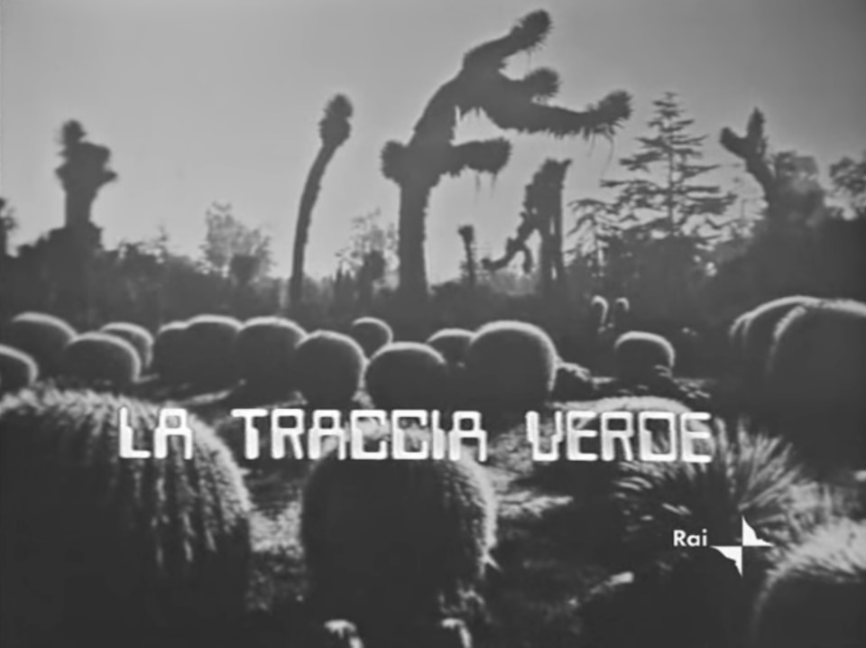 Nei titoli della miniserie TV La Traccia Verde (1975) lo slancio futuristico del typeface Westminster di Leo Maggs si sposa con la vegetazione, in una concezione di natura come interior design tuttora contemporaneo. 