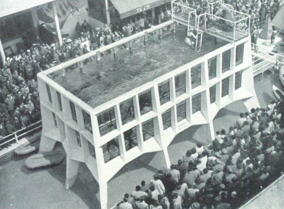 Ente Fiera di Milano, Roberto Menghi, Domus 318 maggio 1956