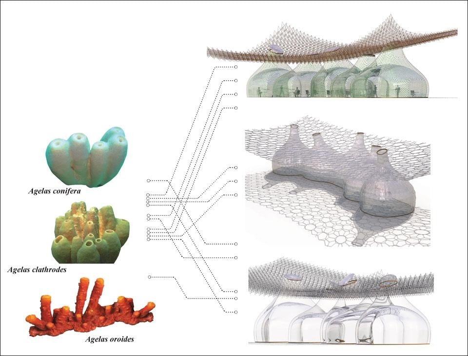 L'architettura organica della fondazione è fatta di particelle e interpreta il concetto di rete con delle spugne e quello di edificio come struttura corallina vivente.