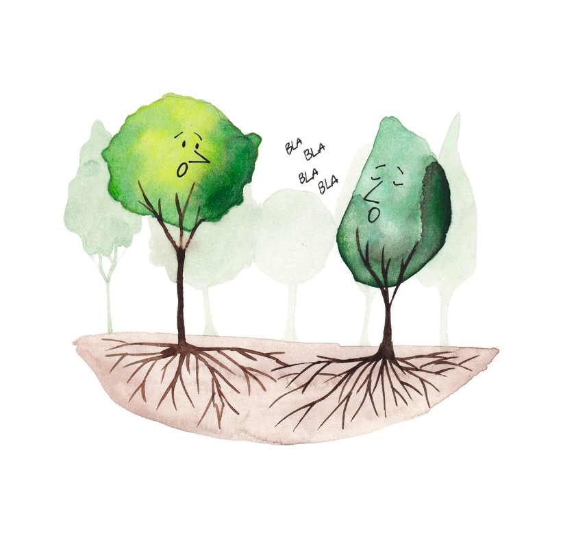 Plant nation. © Cristiana Favretto 