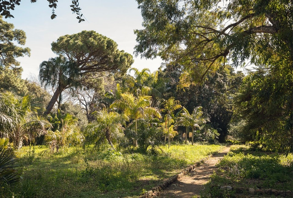 Manifesta 12, Orto Botanico di Palermo