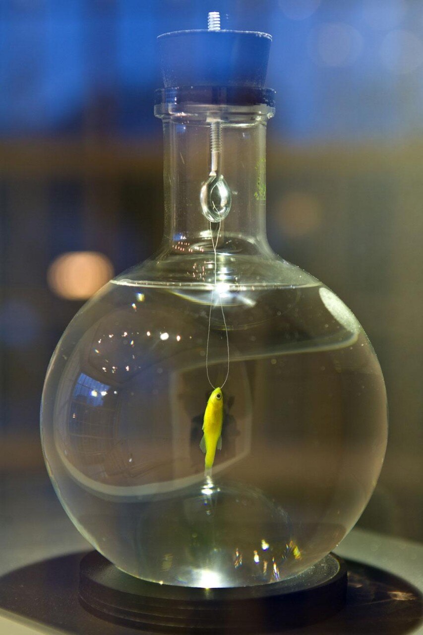 Center for Postnatural History, Specimen collection 29. Courtesy The Center for PostNatural History