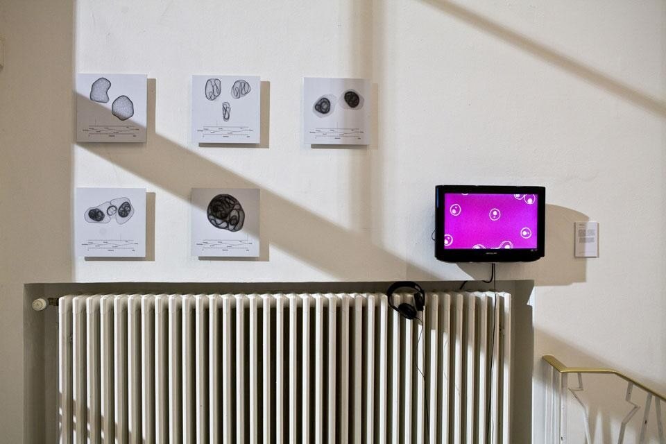 James King, Cellularity, 2010. With this project, James King asks the question of life and death, which he approaches, rather than black and white categories, as a scale; an artificial chemical cell could be for instance 20% or 70% alive according to the functions it can fulfil.