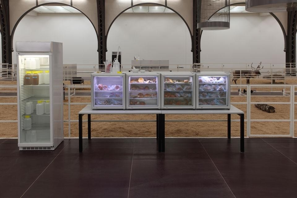 Carsten Höller, Soma, 2010 Vista dell'installazione alla Hamburger Bahnhof - Museum für Gegenwart - Berlino, 2010 © VG Bild-Kunst 2010 / Carsten Höller. Photo Attilio Maranzano 