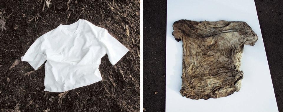 T-shirt biodegradabili. EPEA, Hamburg