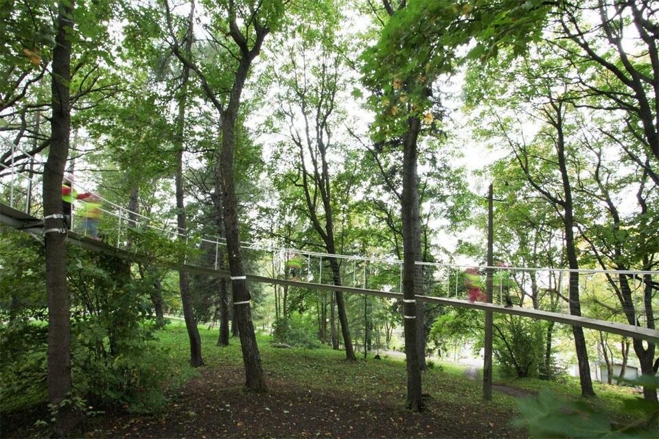 La rampa sospesa realizzata da Tetsuo Kondo Architects in un bosco estone.