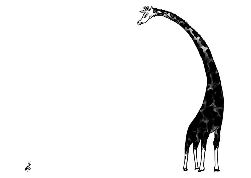 Gli animali erano arrabbiati di William Wondriska