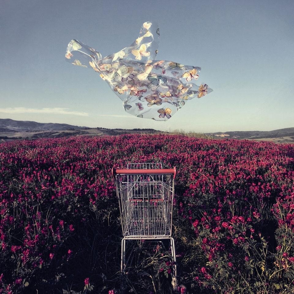 Stefano Parrini, dalla serie <i>Land Market</i>