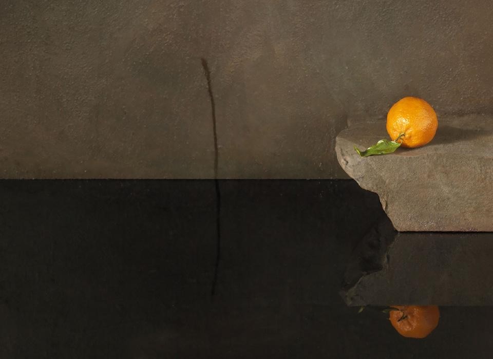 <i>Falling Bird Stills</i> series