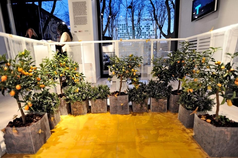 <i>Breathe in!/Respira!</i>, a cura di Luca Molinari e Simona Galateo, in mostra a Milano fino al 30 marzo 2012, allo SpazioFMGperl'Architettura