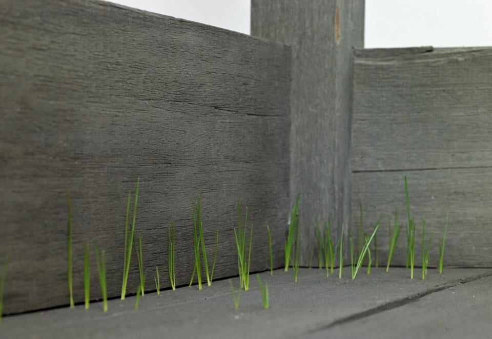 Doris Salcedo, <i>Plegaria Muda</i>