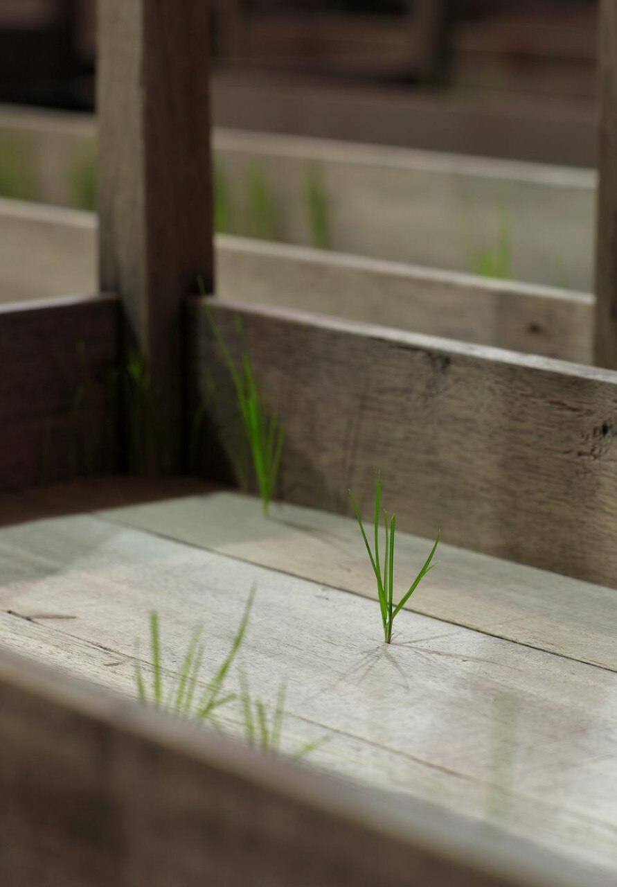 Doris Salcedo, <i>Plegaria Muda</i>
