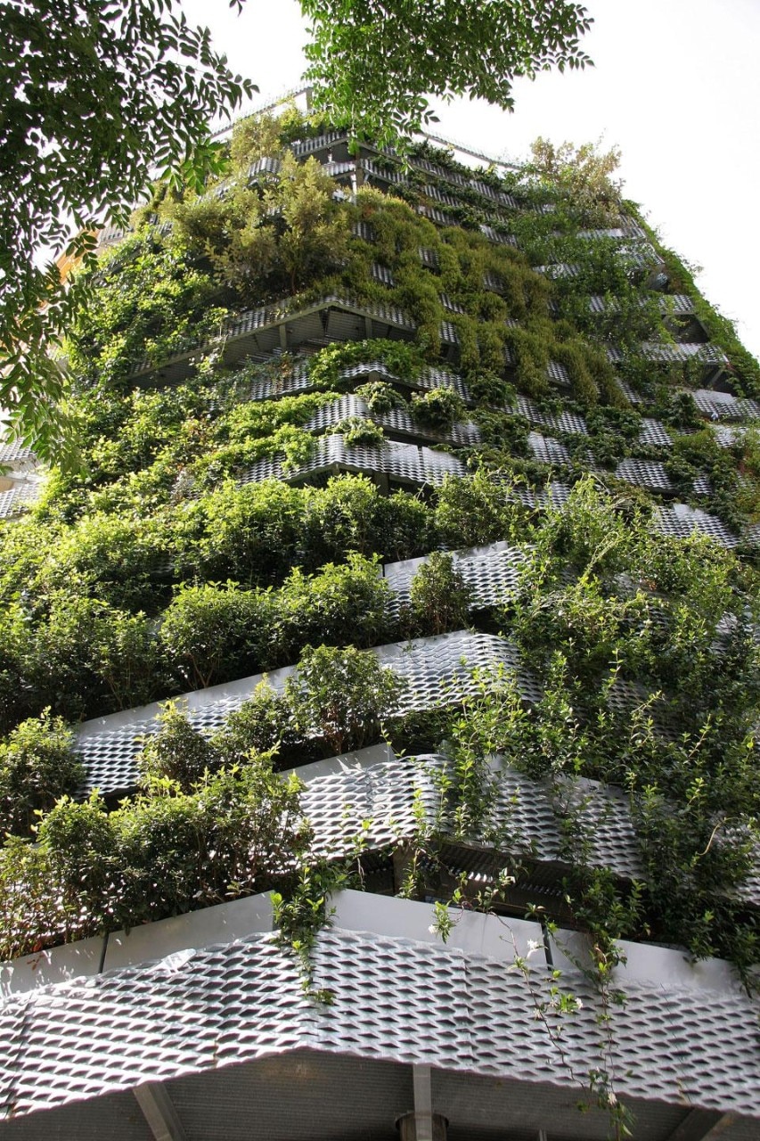 Capella Garcia Arquitectura, Parete vegetale, Barcellona