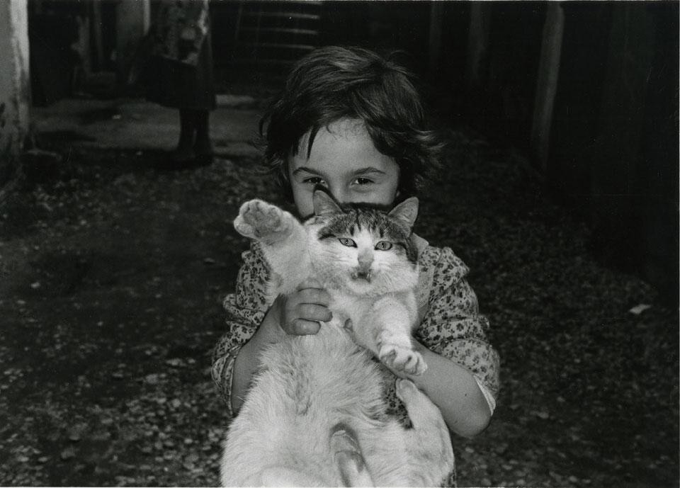 Umberto Sartorello, <i>Treviso</i>, 1983