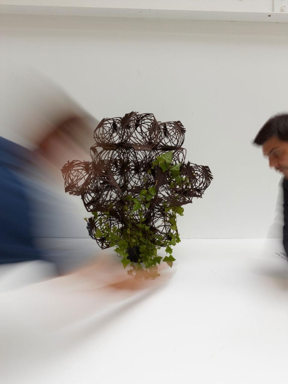 Tumbleweed di Compagnie. Elemento d'arredo per coltivare un piccolo giardino d'interni. Photo ® S. Chalmeau 