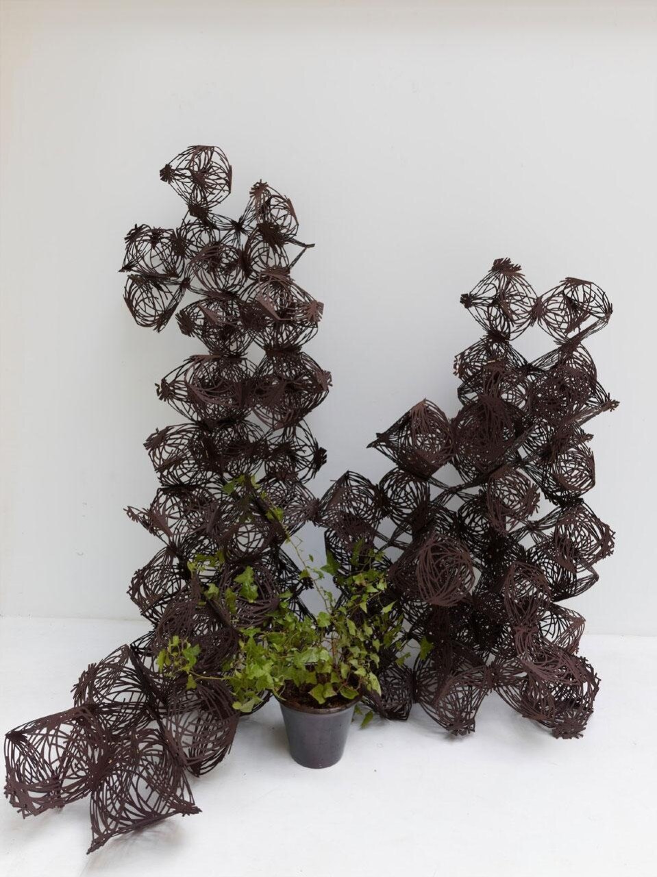 Tumbleweed di Compagnie. Elemento d'arredo per coltivare un piccolo giardino d'interni. Photo ® S. Chalmeau