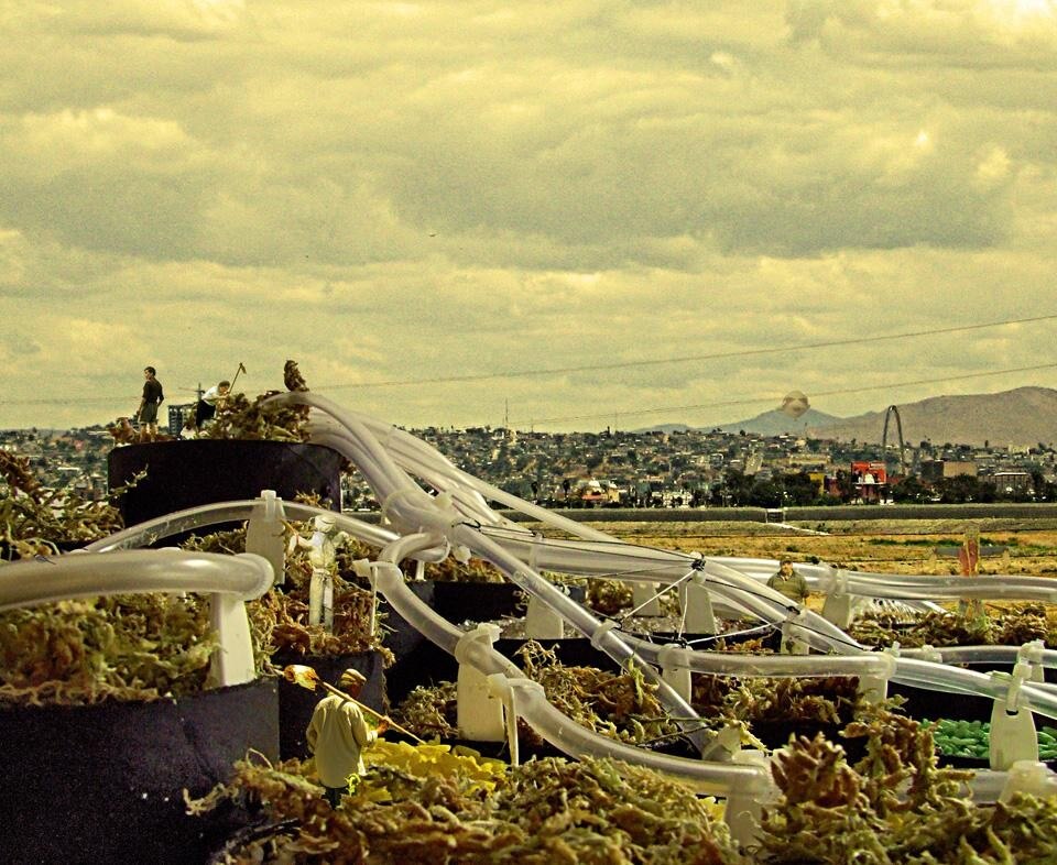 "CyberGardening the City": veduta aerea di un cyber giardino urbano