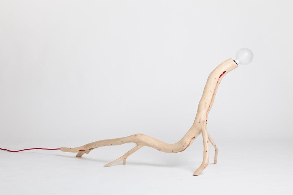 Martinho Pita: lampade Bichos