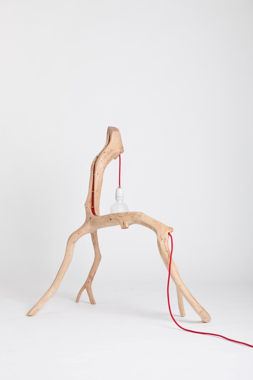 Martinho Pita: lampade Bichos