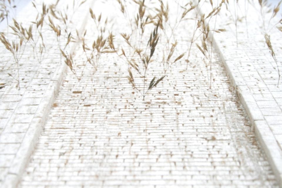 Bennie Meek, <em>Living Pavement</em>, sistema di pavimentazione pensata per migliorare il drenaggio dell'acqua piovana nelle aree urbane