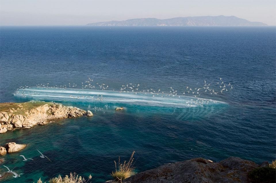 Vulmaro Zoffi, secondo premio + FARM Cultural Park prize, New Concordia Island Contest. La sua Concordia resta visibile solo da una certa distanza, quella del rispetto e della contemplazione