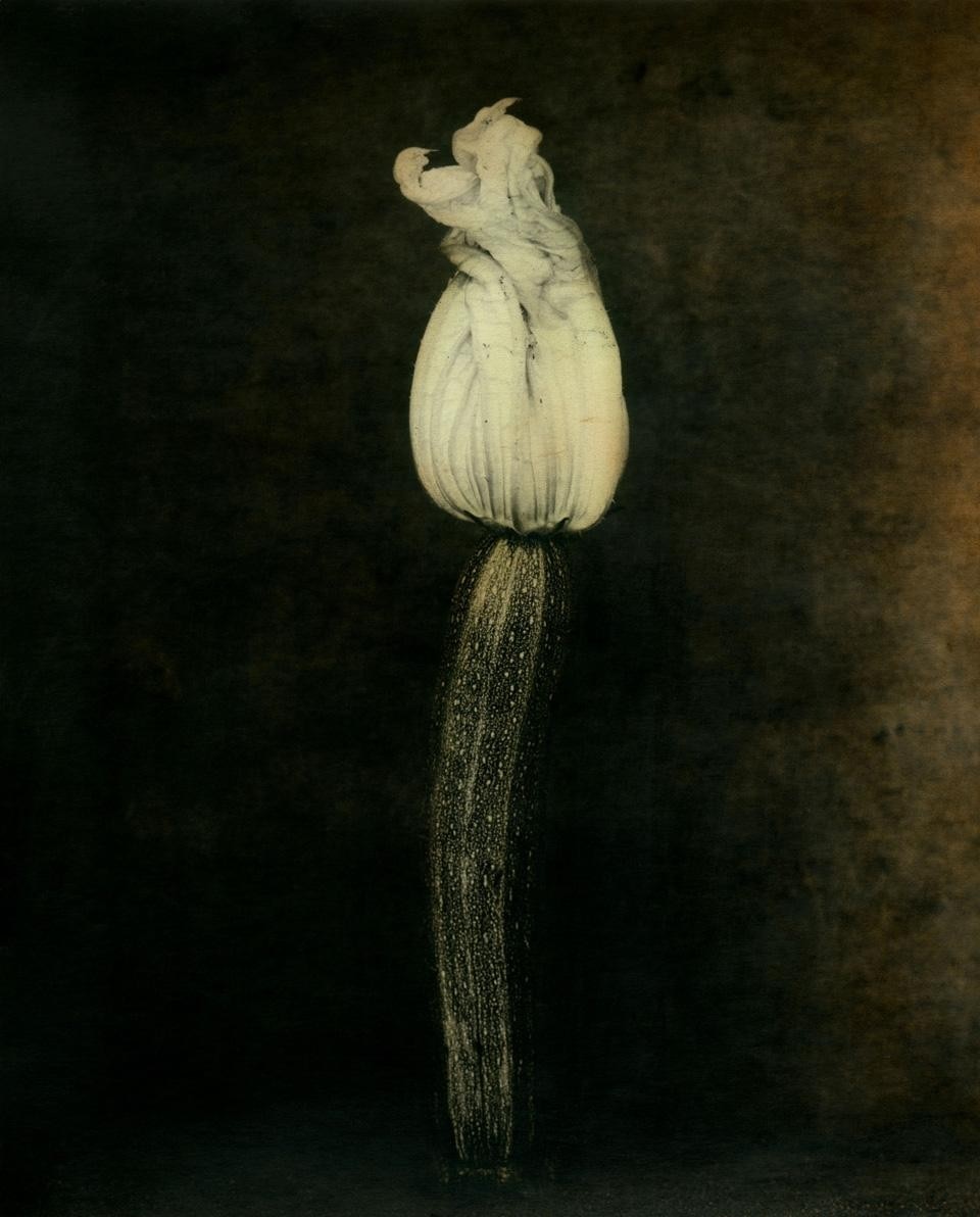 Ingar Krauss, Untitled, Zechin 2011. Courtesy Galleria Suzy Shammah