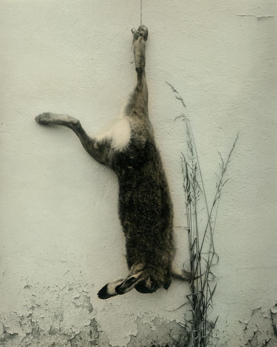 Ingar Krauss, Untitled, Zechin 2009. Courtesy Galleria Suzy Shammah