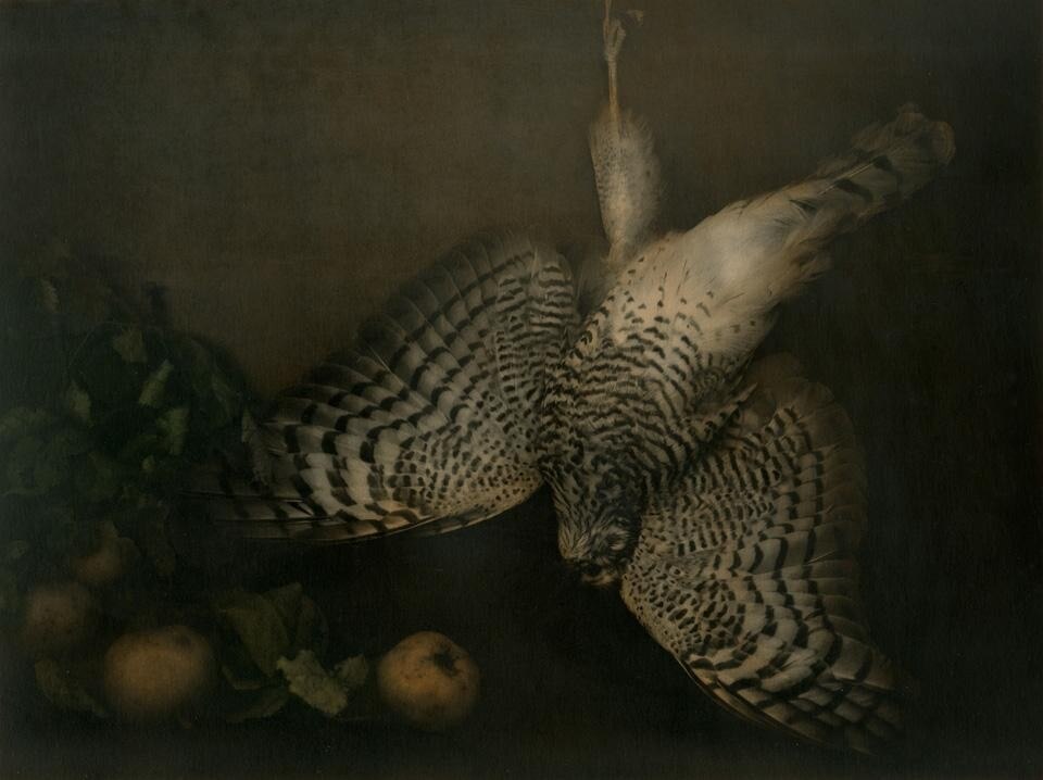 Ingar Krauss, Untitled, Wiepersdorf 2010. Courtesy Galleria Suzy Shammah