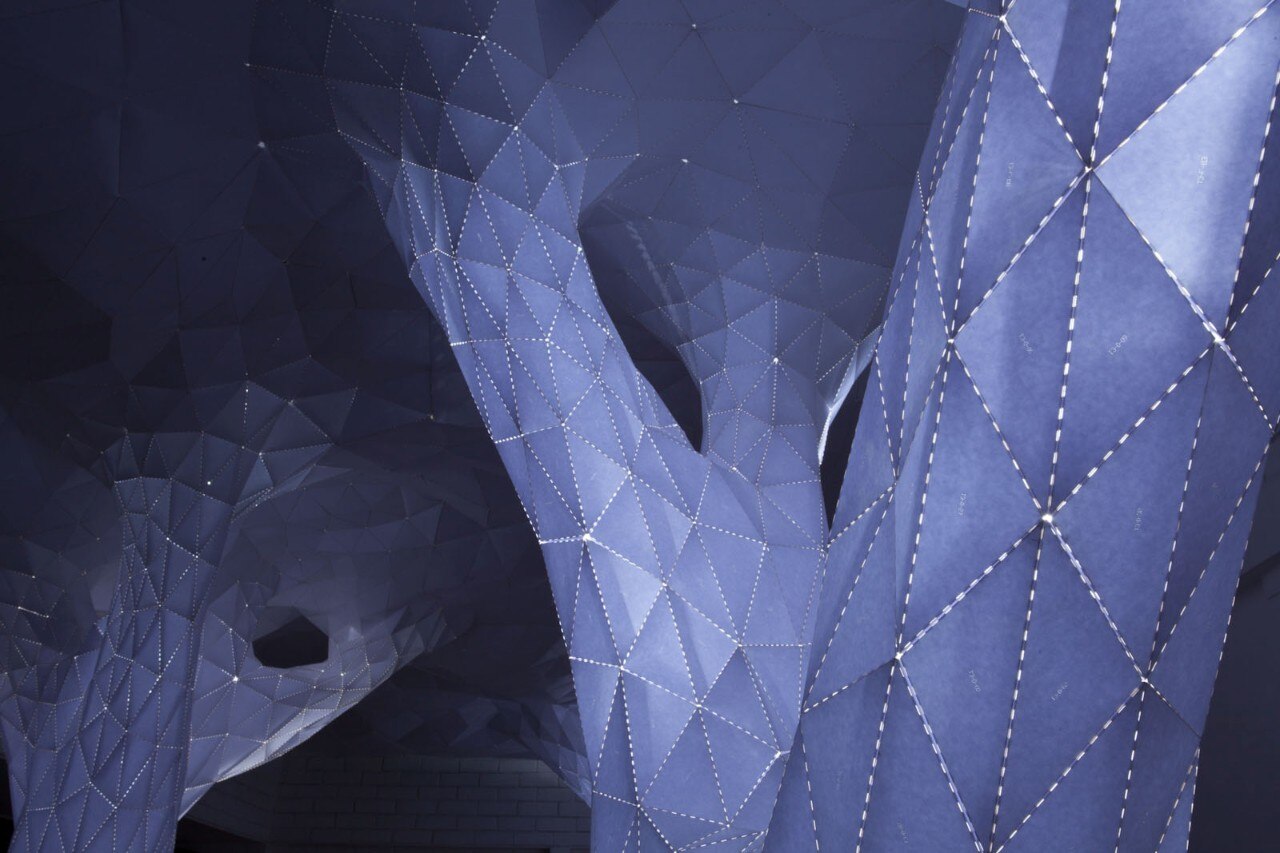 Orproject, Vana, Nuova Delhi