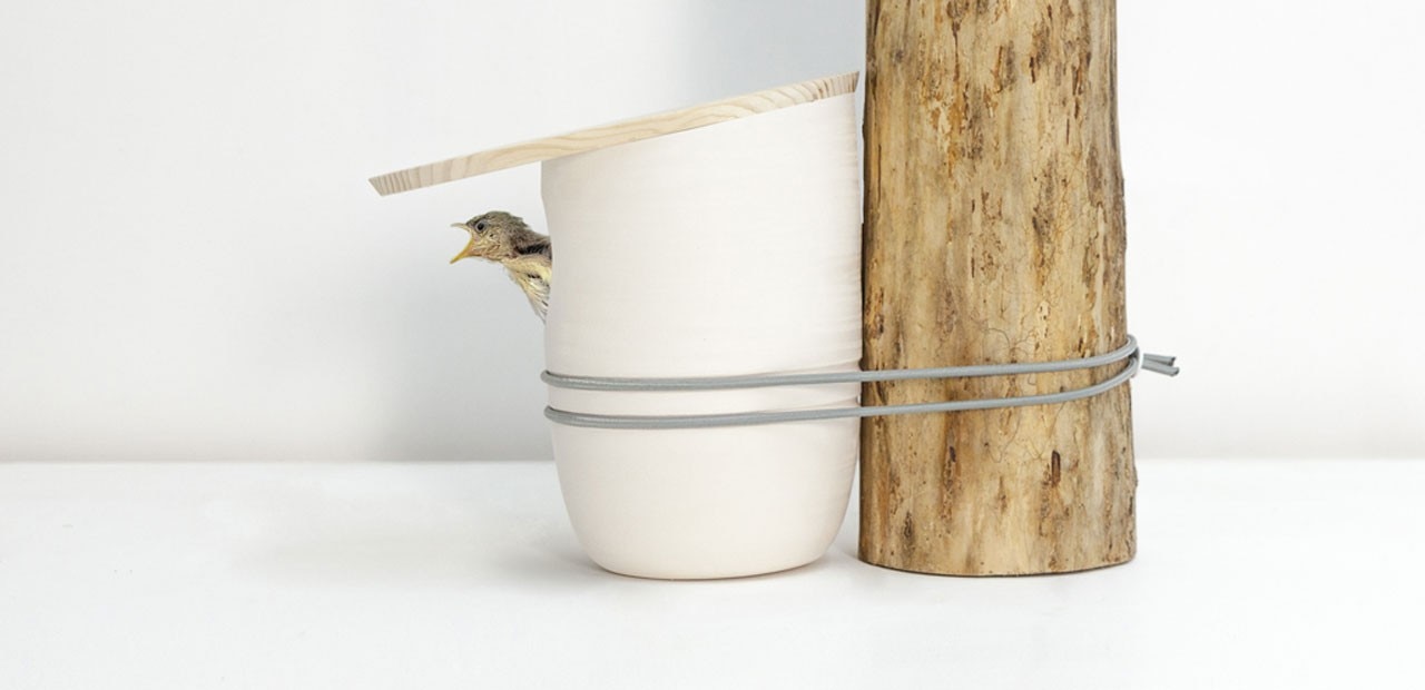 Pygmalion Studio: Mikko