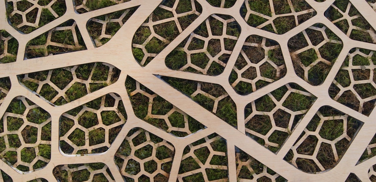 Bio-Photovoltaic panel 