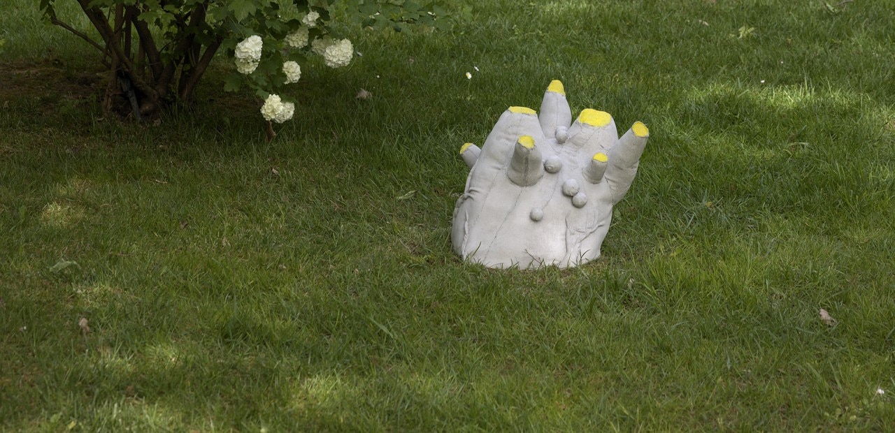 Claudia Losi: Biotopes