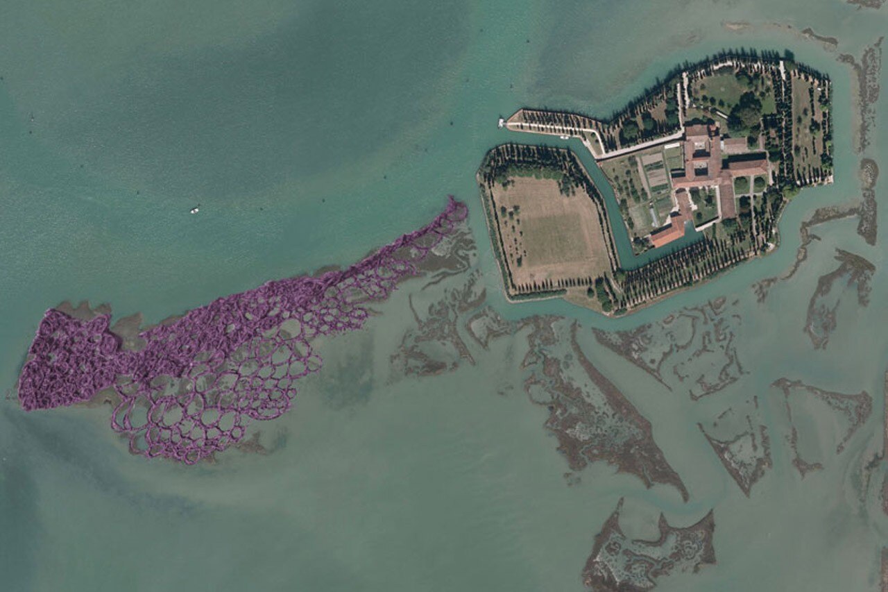 Maria Grazia Rosin, <i>Merletto frattale limonium</i>, “Merletto Frattale - Fractal Lace 20142”