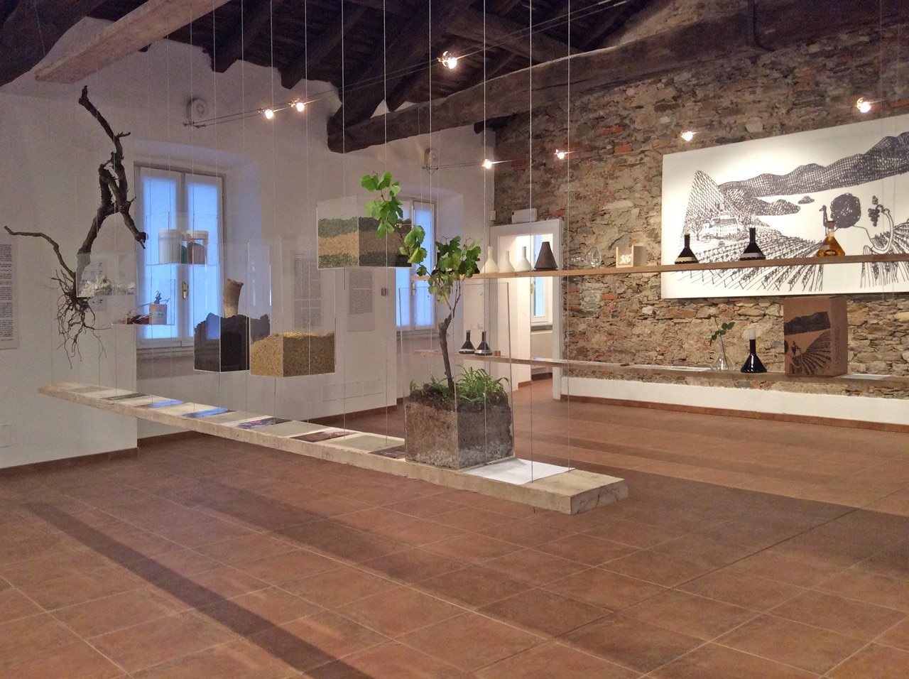 "La signora Eugenia e il passero solitario", allestimento Bertinotti e Consalez, Museo Tornielli