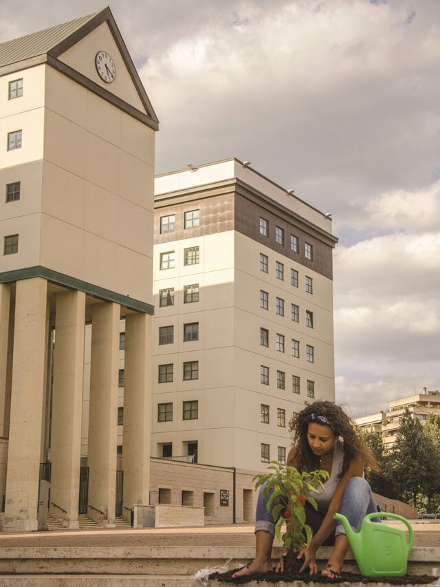 Capitale della Cultura