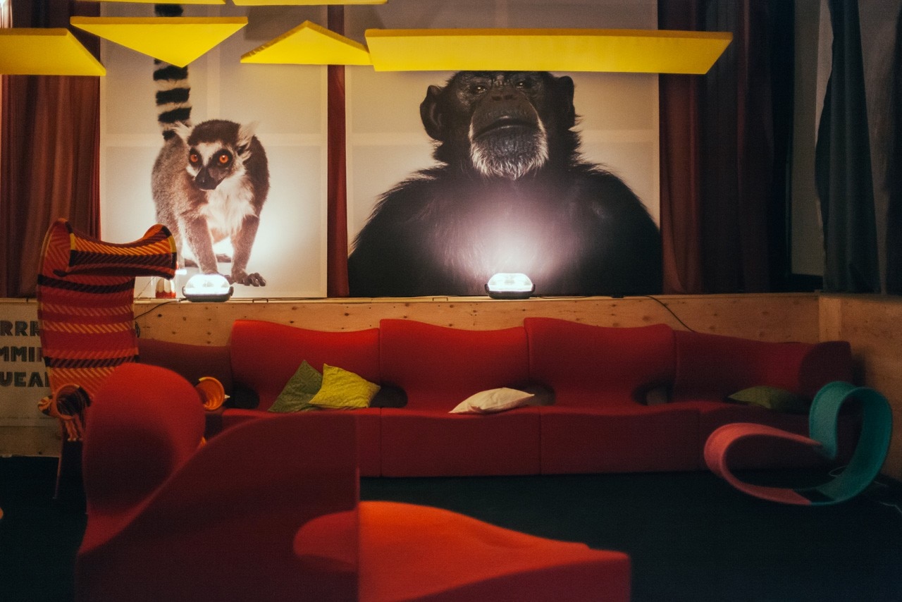 Paola Pivi, GRRR JAMMING SQUEAK