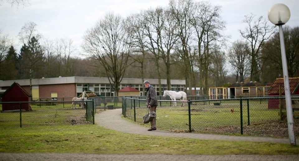 Domenico Mangano, <i>Birds singing, sandy ground</i>, 2014, 50'. Courtesy of the artist e Magazzino, Rome