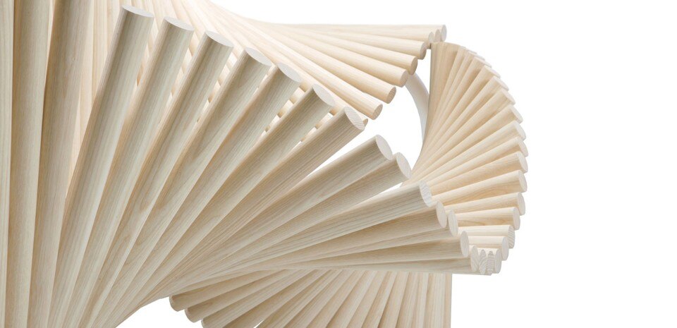 Eduardo Benamor Duarte, Cadeira Animada