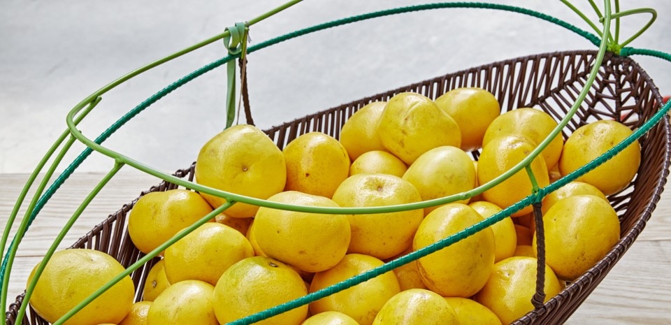 Marni Mercado de Paloquemao