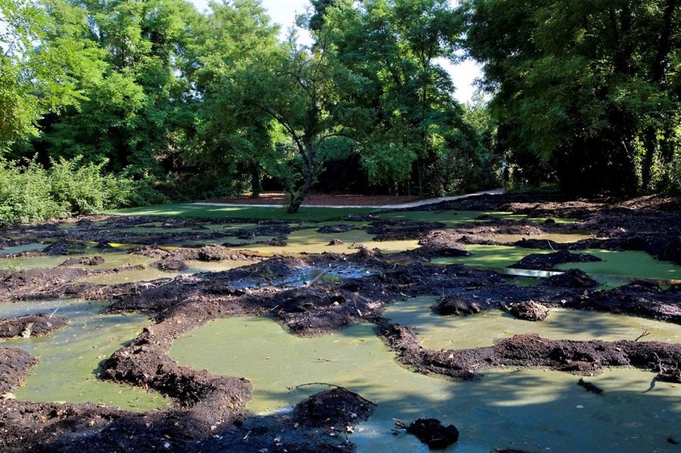 Lara Favaretto, <i>Momentary Monument</i>, 2009. Torba nera, terra vegetale, sabbia vulcanica, alghe acquatiche, muschio, ferro, legno, cellulosa, acqua dolce, metallo. Vista dell'installazione, “Making Worlds/Fare Mondi”, 53ª Biennale di Venezia, curata da Daniel Birnbaum, Venezia. Courtesy l'artista e Galleria Franco Noero, Torino