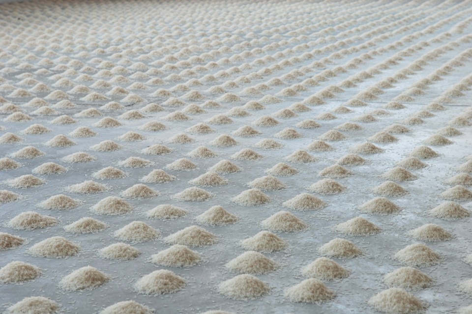 Wolfgang Laib, vista della mostra alla Fondazione Merz, Torino, 2009. Courtesy of the Artist