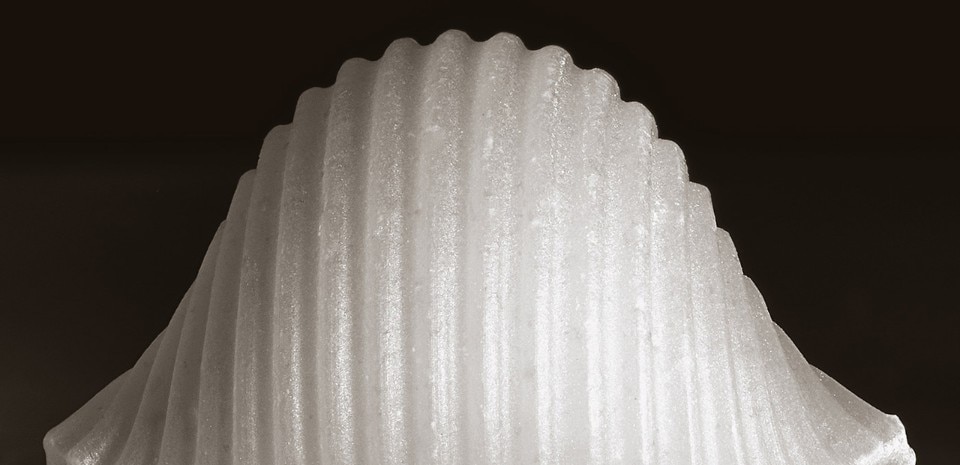 Daniele Duca, <i>Pasta. The photographic elegance of De Cecco’s pasta shapes</i>