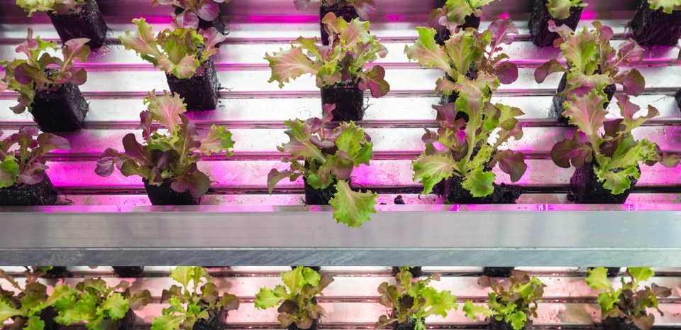 EXPO Milano 2015 Future Food District, project by Carlo Ratti, Direttore - MIT Senseable City Lab e Partner - Carlo Ratti Associati in collaboration with Favero & Milan Ingegneria, Capatti Staubach Landschaftsarchitekte, Systematica, ecoLogicStudio, Cesare Griffa Studio, ENEA e Ceres srl