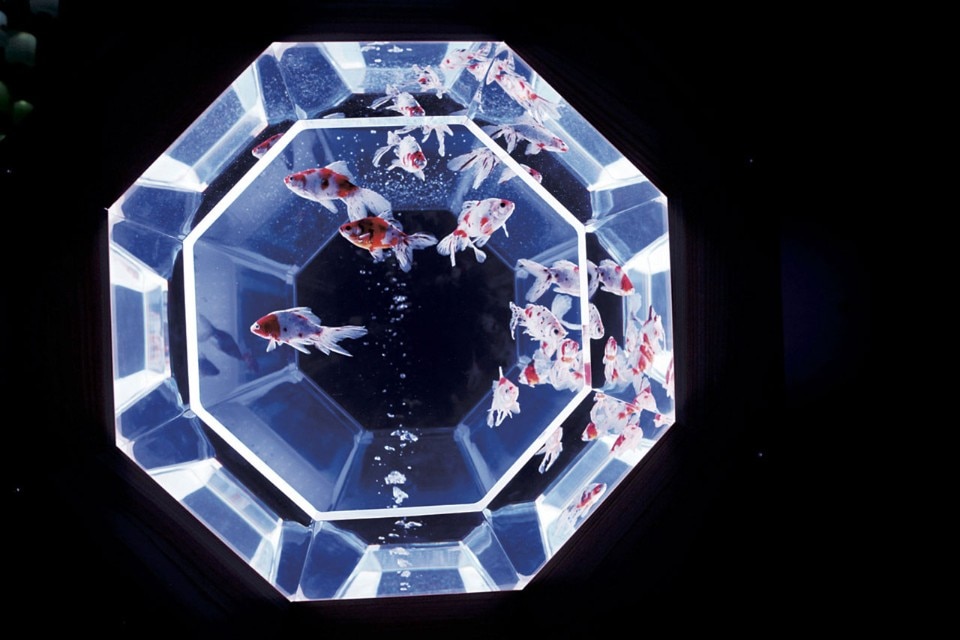 “Art Aquarium”, Circolo Filologico Milanese 