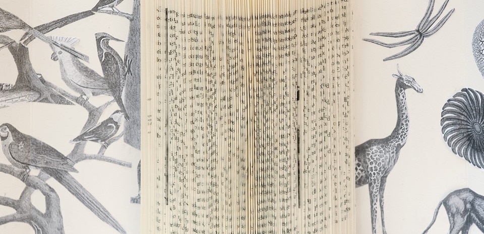 Silvia Camporesi, Blu Corner, dettaglio