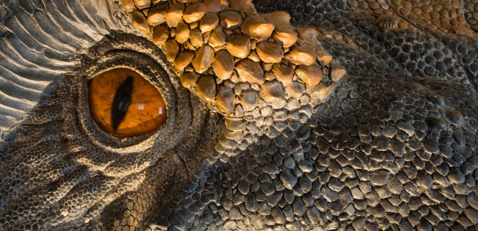 Da Spinosaurus a Tiepolo