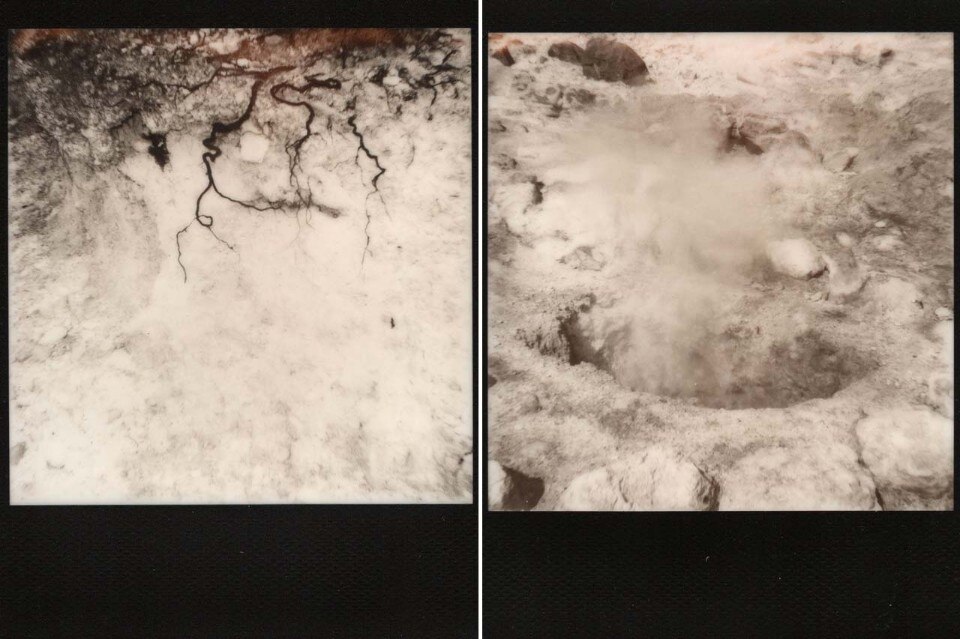 <b>In apertura e sopra</b>: Ina Otzko, <i>Leviathan</i>, 2015, polaroid